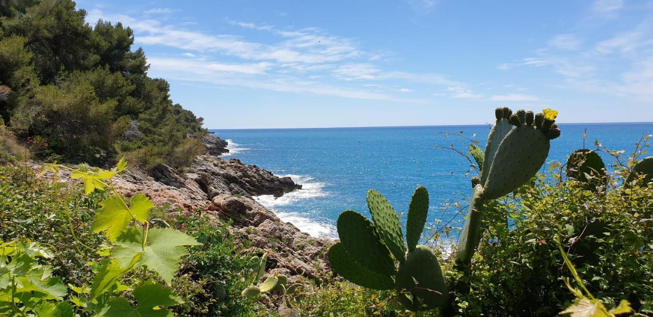 Apartmán Les Caroubiers Roquebrune-Cap-Martin Exteriér fotografie