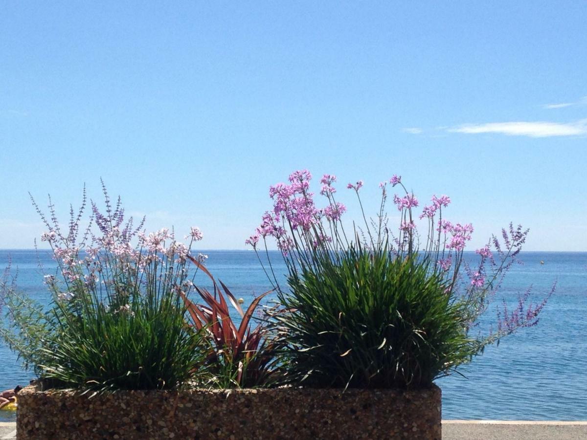 Apartmán Les Caroubiers Roquebrune-Cap-Martin Exteriér fotografie